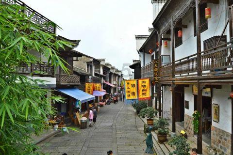 美人鱼的聚会